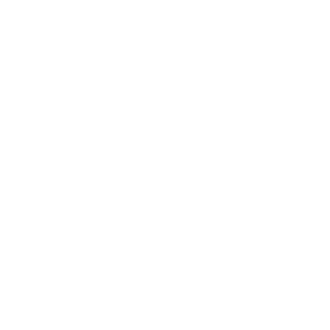 LinkedIn icon reverse